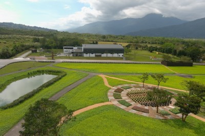 大農大富平地森林園區春節花海 